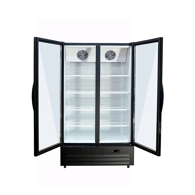 LC-600NB Dual-Glass Door Commercial Refrigerator - Efficient 2-8°C Storage Solution