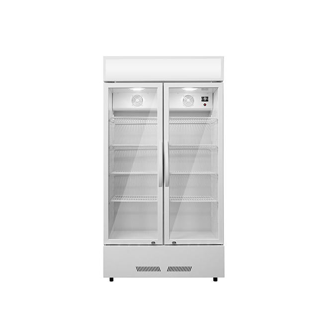 LC-600 Illuminated Display Cabinet - Dual-Glass Door Merchandiser with Stable Cooling