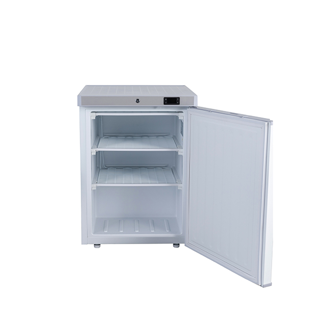 Commercial Upright Single Door Chiller/Freezer 99 Liter