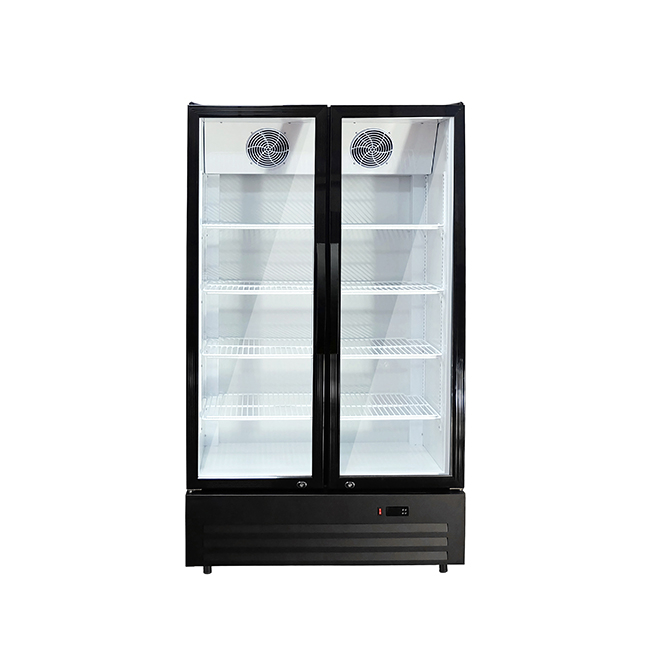LC-600NB Dual-Glass Door Commercial Refrigerator - Efficient 2-8°C Storage Solution