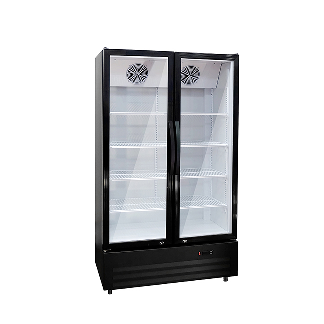LC-600NB Dual-Glass Door Commercial Refrigerator - Efficient 2-8°C Storage Solution