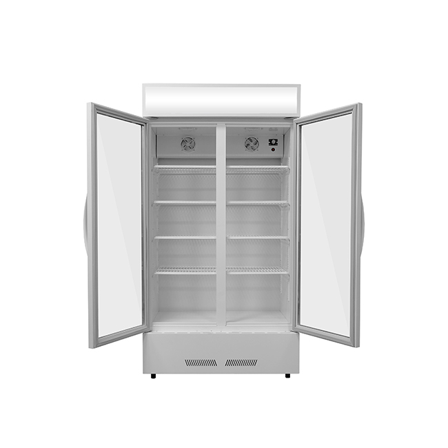 LC-600 Illuminated Display Cabinet - Dual-Glass Door Merchandiser with Stable Cooling