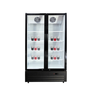 LC-600NB Dual-Glass Door Commercial Refrigerator - Efficient 2-8°C Storage Solution