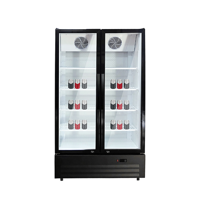 LC-600NB Dual-Glass Door Commercial Refrigerator - Efficient 2-8&deg;C Storage Solution