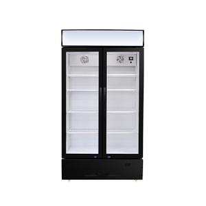 LC-600 Illuminated Display Cabinet - Dual-Glass Door Merchandiser with Stable Cooling