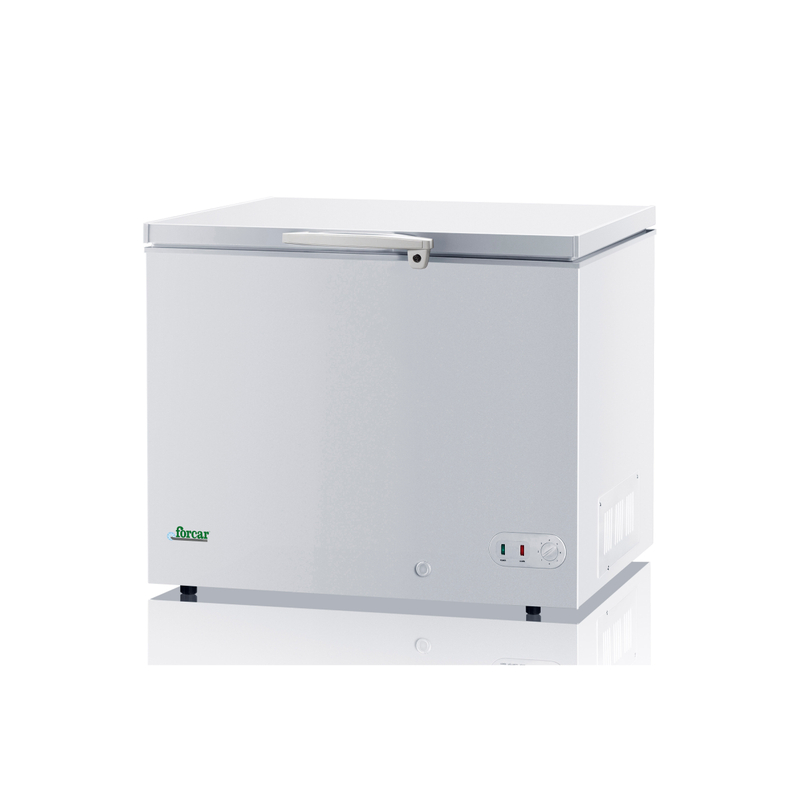 CE ETL Horizontal Large Solid Door Chest Freezer