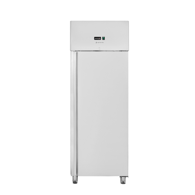 Professional Energy Efficient Upright Chiller for Restaurant