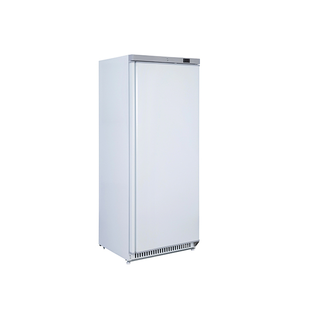 Energy-Efficient R600a Commercial Upright Chiller with Digital Temperature Control