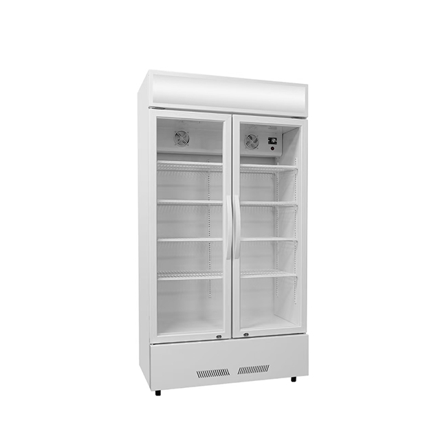 LC-600 Illuminated Display Cabinet - Dual-Glass Door Merchandiser with Stable Cooling