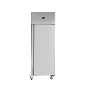 European 550L Upright Cabinet with Integrated Stamped Liner