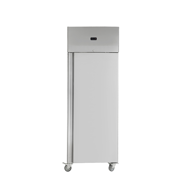 European 550L Upright Cabinet with Integrated Stamped Liner