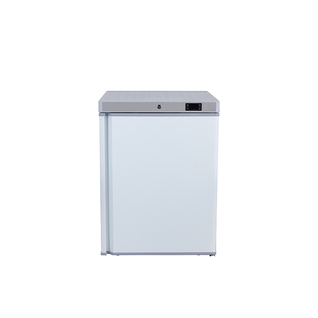 Commercial Upright Single Door Chiller/Freezer 99 Liter