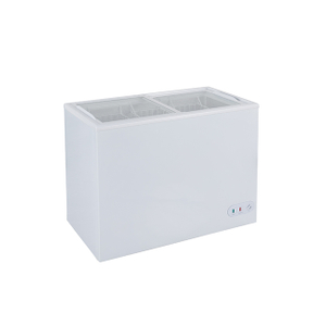 Commercial Freezer with Lockable Glass Lid