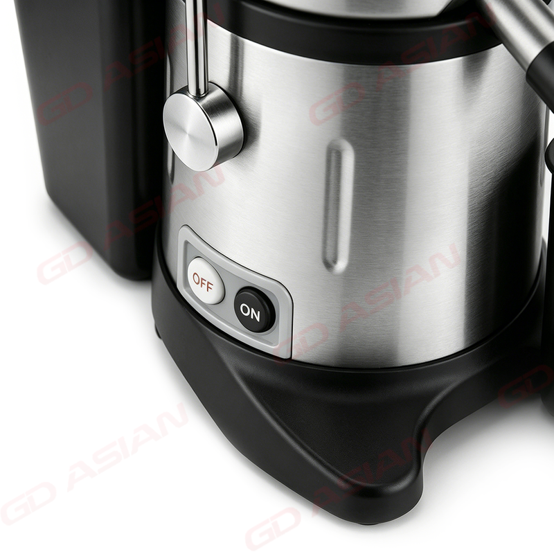 Professional Cold Press Fruits Greens Juicer Extractor 