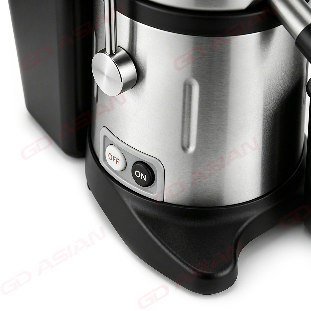 Professional Cold Press Fruits Greens Juicer Extractor 