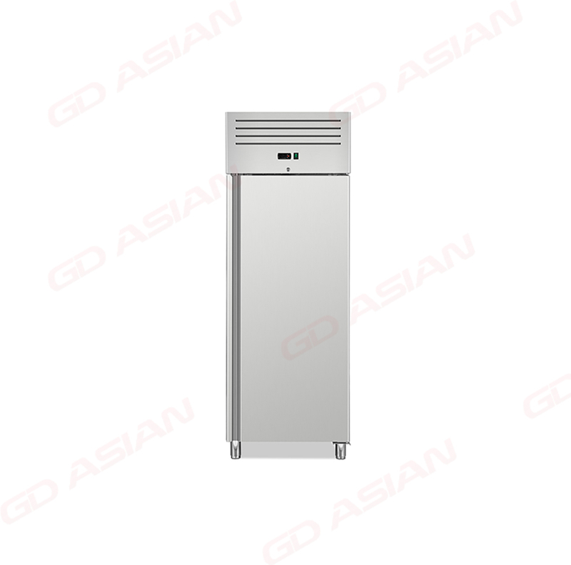 European 550L Upright Cabinet with Integrated Stamped Liner