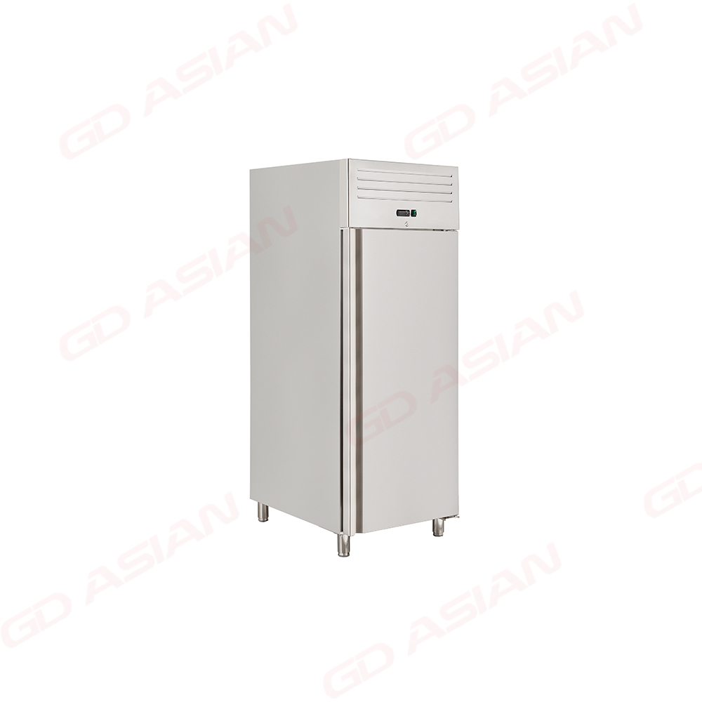 Professional Energy Efficient Upright Chiller for Restaurant