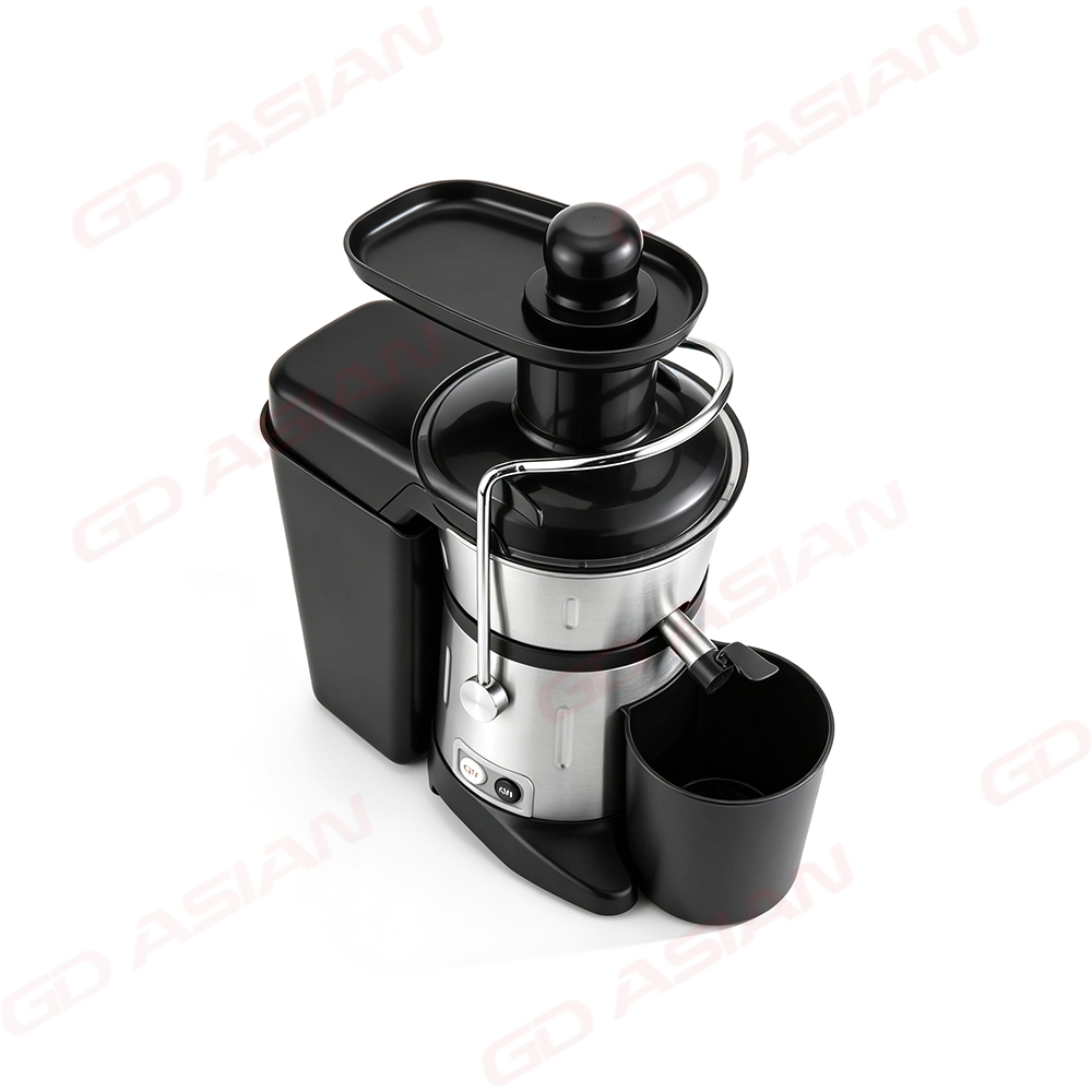 Professional Cold Press Fruits Greens Juicer Extractor 